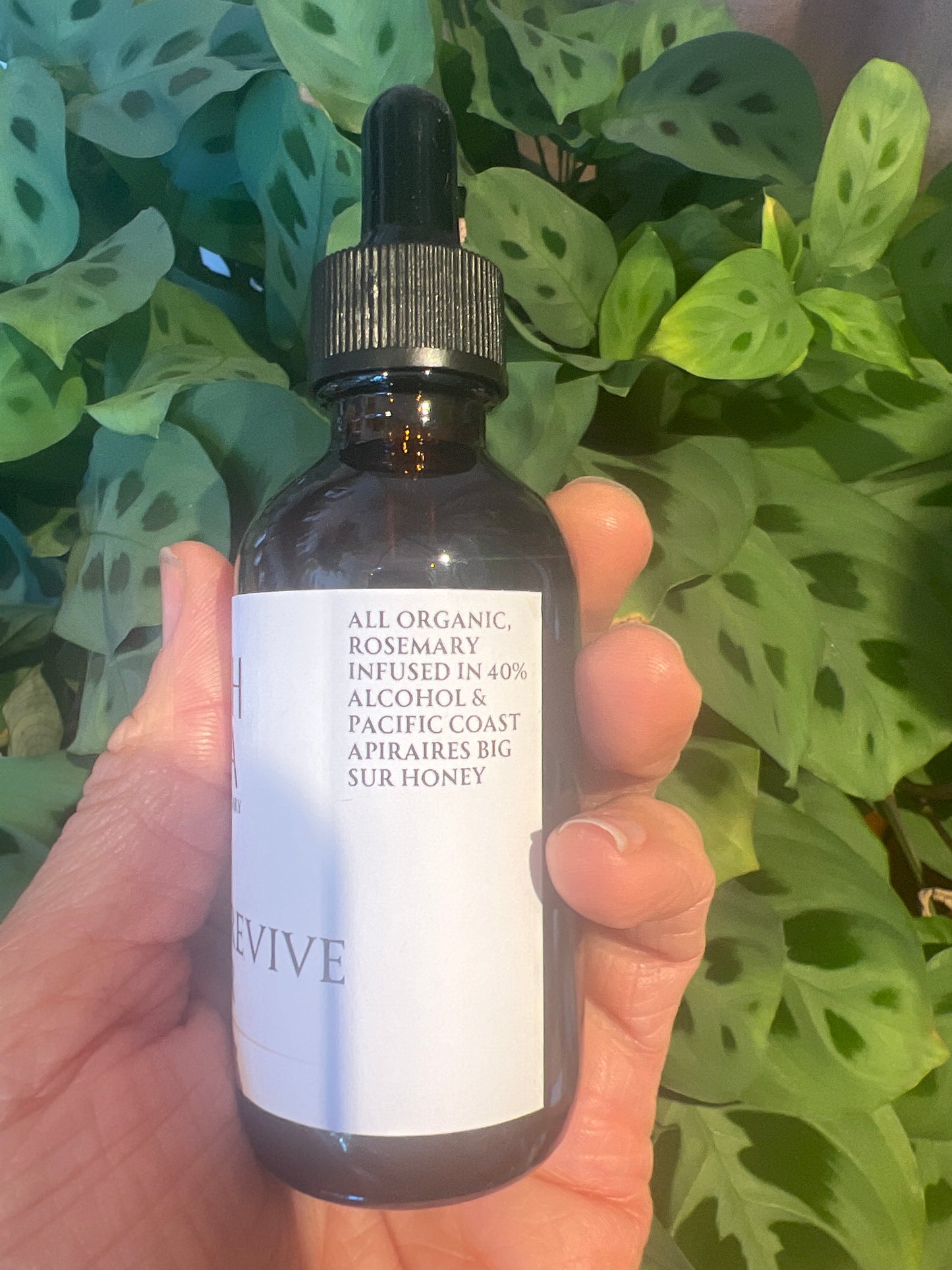ROSEMARY REVIVE - Elixir Tincture