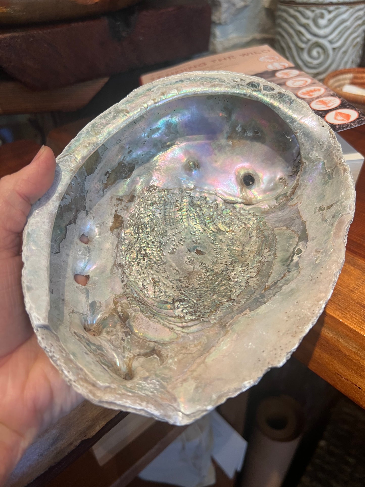 RITUAL ALTAR SHELL GIFT SET - Sage Bundle, Palo Santo, Copal, Aromatherapy, Crystal, Poem Book, Vintage Abalone Shell