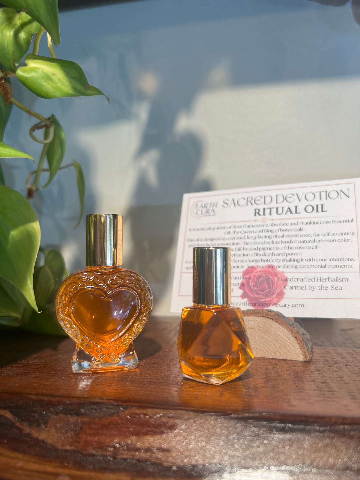 Sacred Devotion - ROSE ABSOLUTE & FRANKINCENSE ESSENTIAL OIL - Ritual Oil