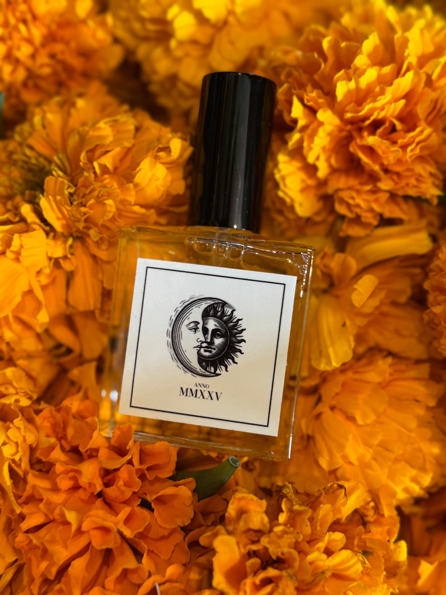 Eclipse ANNO MMXXV - 🌑