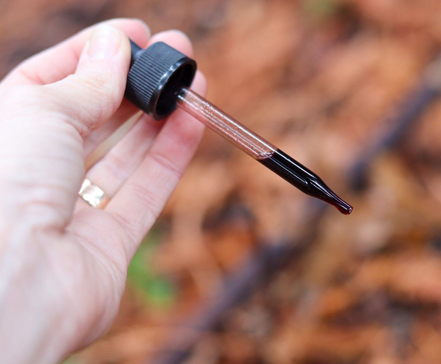 ELDERBERRY - IMMUNE DEFENSE SUPPORT TINCTURE - Anti-viral