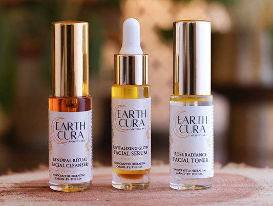 SKINCARE ESSENTIALS KIT - Daily Moisturizer Kit - Face Cleanser, Rose Toner & Facial Serum