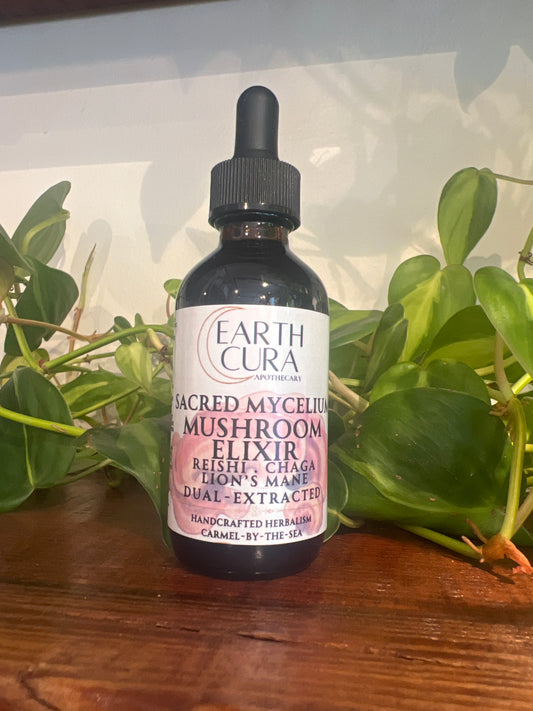 Sacred Mycelium MUSHROOM ELIXIR Reishi, Chaga, Lion’s Mane - Adaptogenic, Immune & Cognition