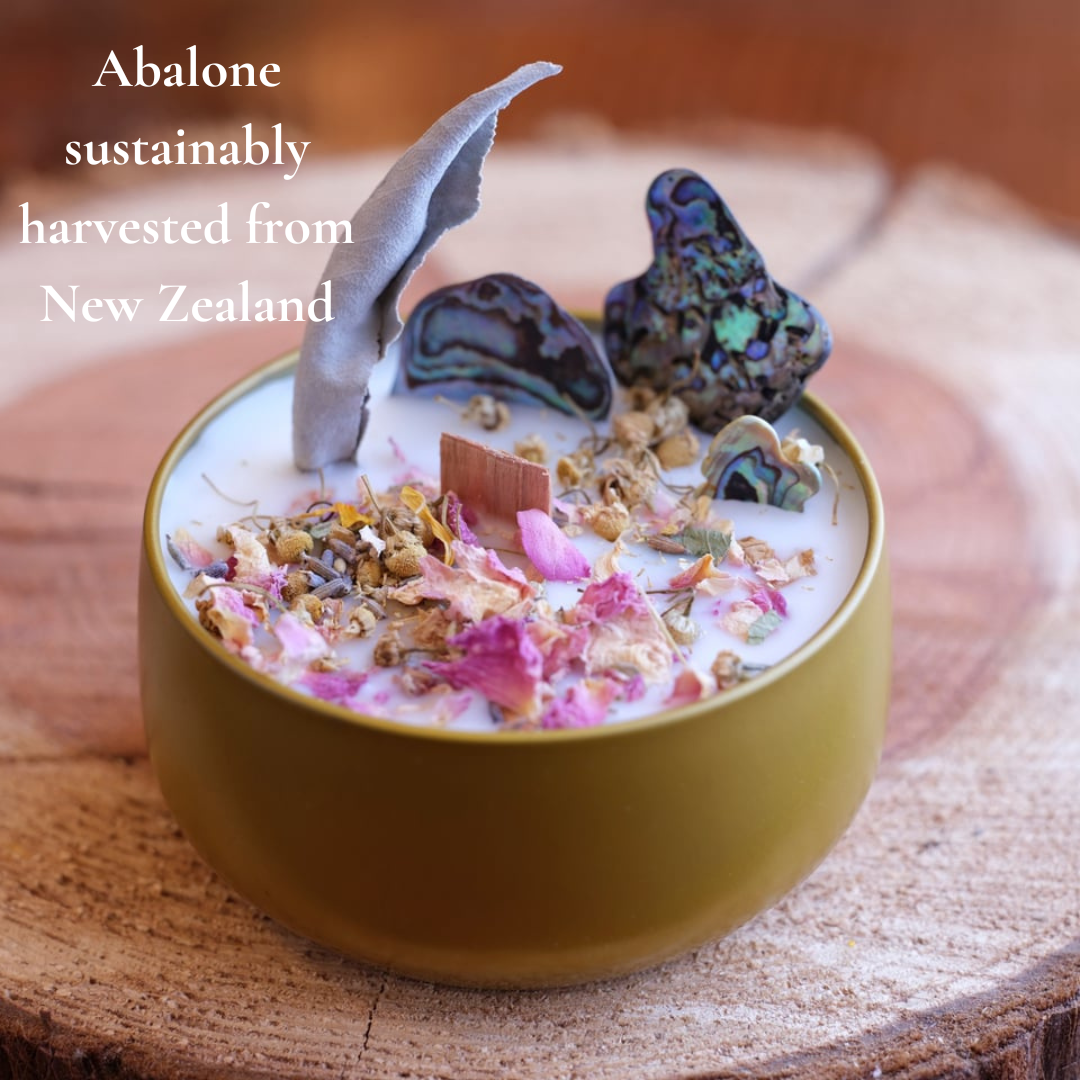 Elemental Shell Candle ARTISAN CRYSTAL CANDLES - Elemental Healing Candle - Eucalyptus Essent ...