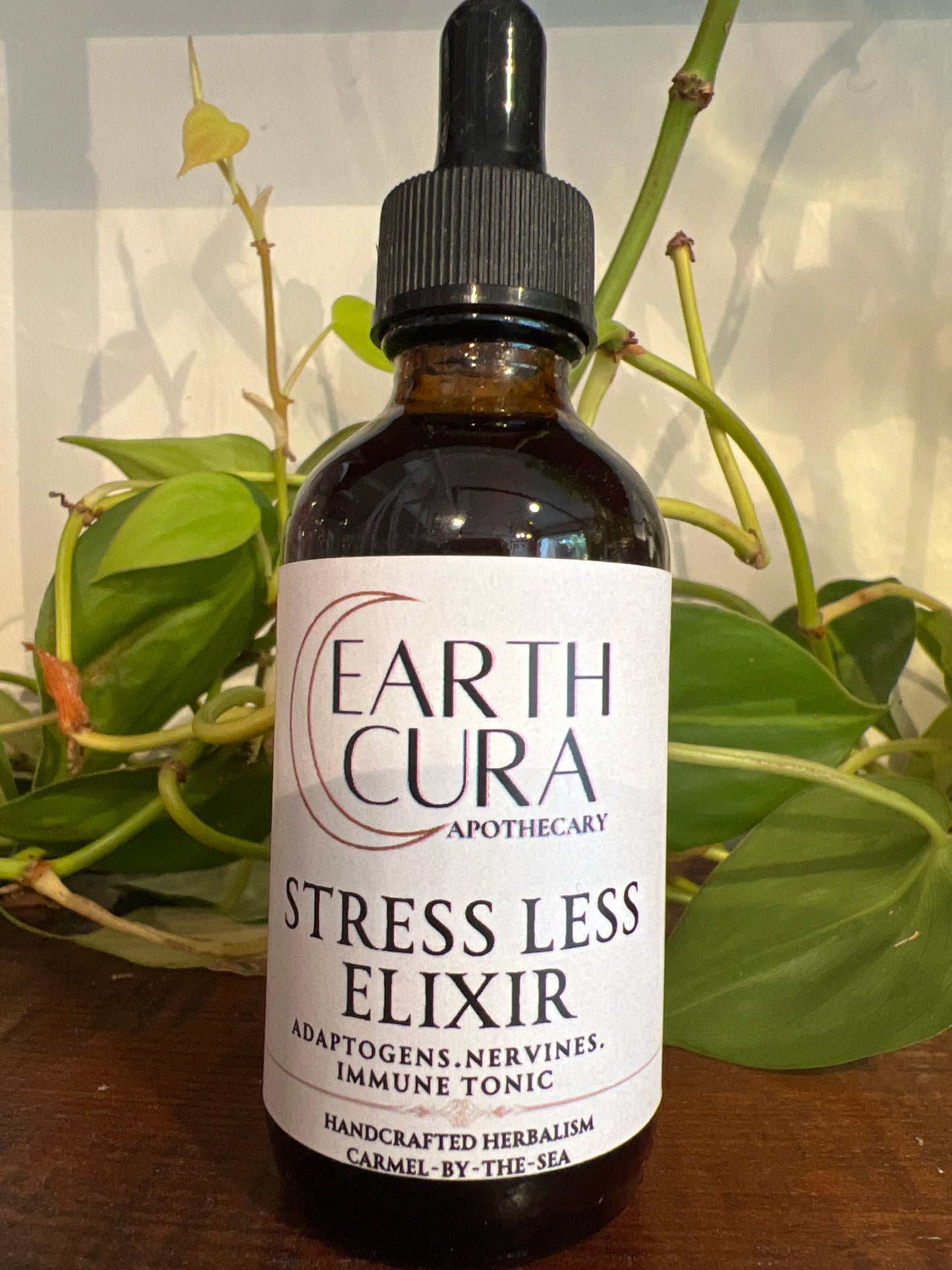 STRESS LESS- ADAPTOGEN Elixir - Rhodiola, Reishi, Siberian Ginseng, Ashwaganda, Schisandra Berry, Skullcap, Lemon Balm