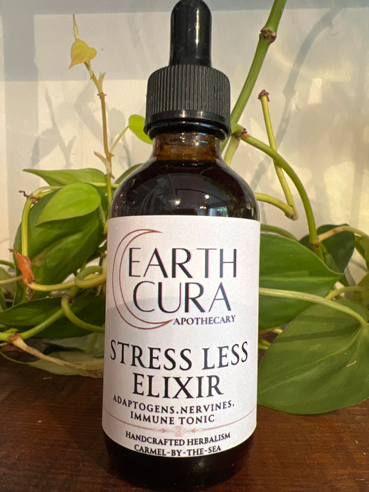 STRESS LESS- ADAPTOGEN Elixir - Rhodiola, Reishi, Siberian Ginseng, Ashwaganda, Schisandra Berry, Skullcap, Lemon Balm