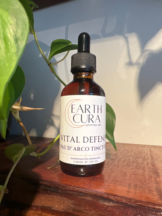 Pau d’Arco Tincture