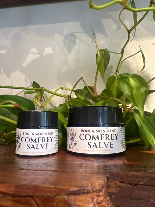 COMFREY SALVE - The Bone Knitter -  Deep mend for inflammation, reduce scar tissue, skin repair, support strains, fractures, sprains