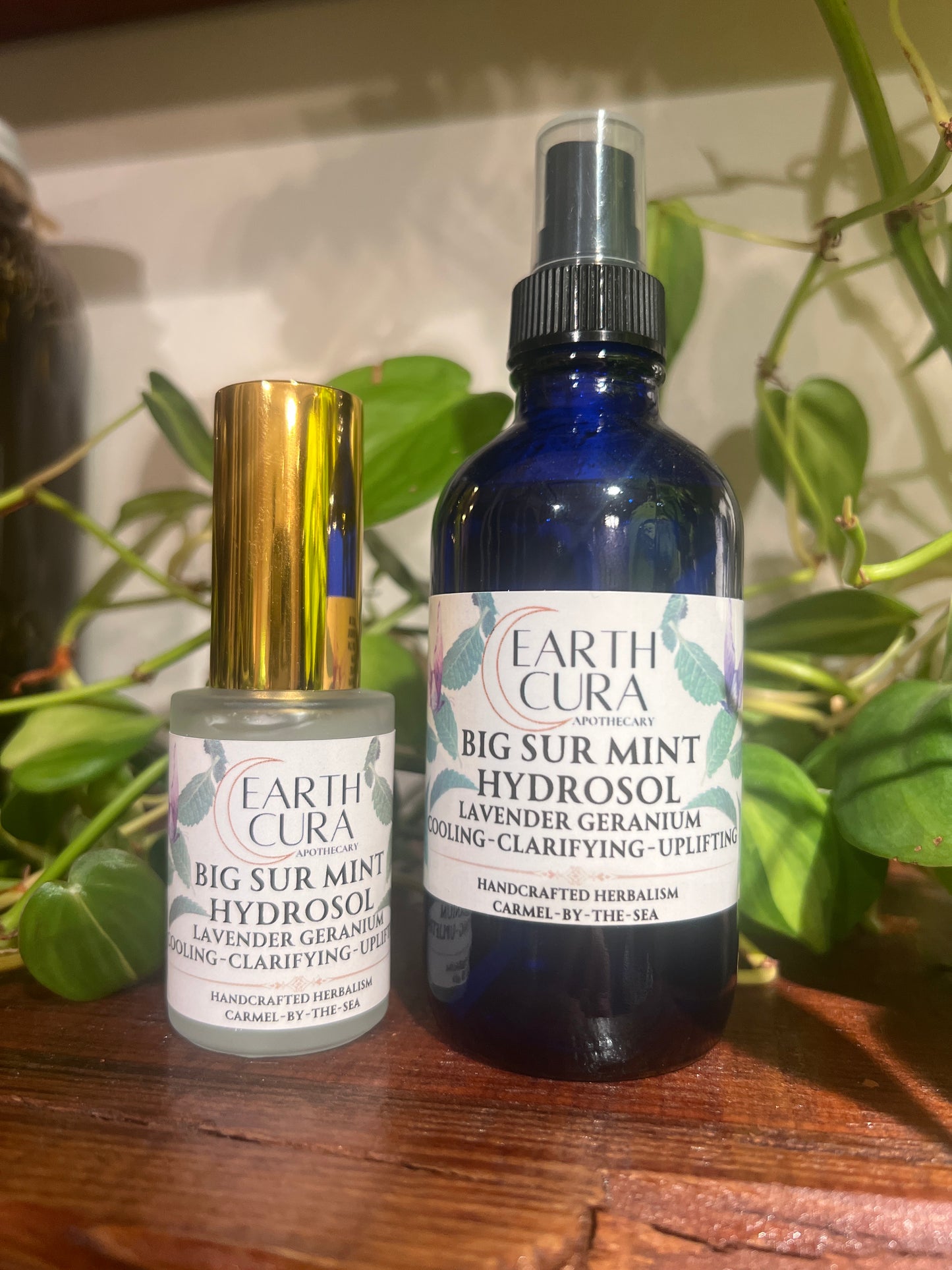 BIG SUR MINT HYDROSOL- Handcrafted Steam Distilled Face Toner with local Lavender & Geranium